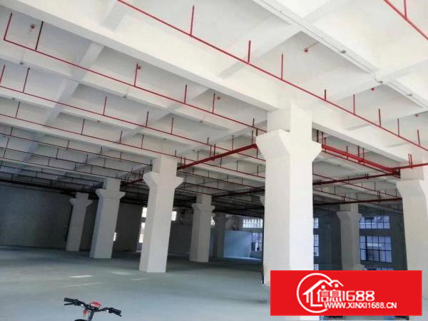 企石原房东独门独院12000平方厂房出租！