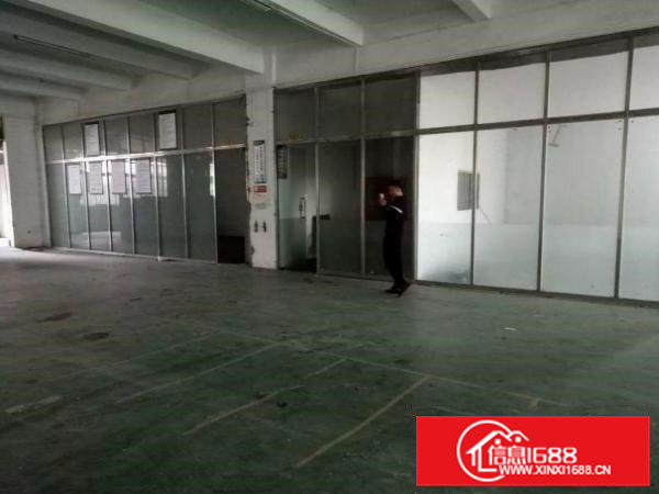 清溪铁松标准厂房一楼850平层高6米带精装办公室