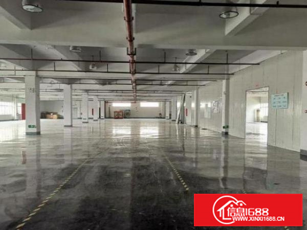 丹灶仙湖1楼1000平厂房出租