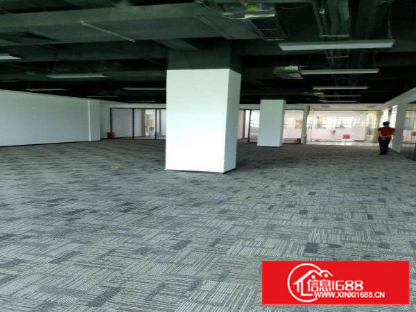 高新区精装修430平方入住就可用