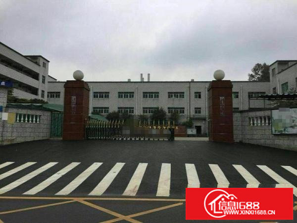 龙岗同乐九成新25000平红本独院厂房，10年合同