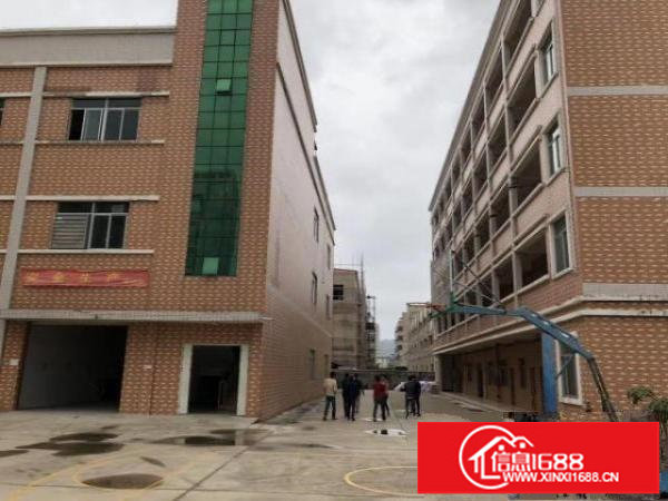 龙岗坪地中学附近独院5000平方厂房出租原房东