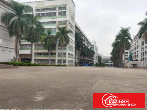 高埗镇原房东厂房可办理环评厂房出租