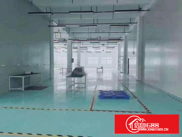 沙井新出一楼高度6米1000平米厂房招租