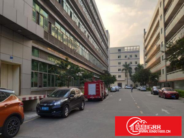 坂田楼上500平方厂房出租现成水电消防喷淋带装修