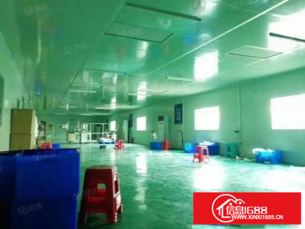 龙岗同乐新空出800平无尘车间原房东