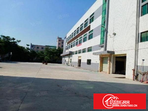 茶山花园式独院厂房分租一楼4000方，高度6米，面积实量。