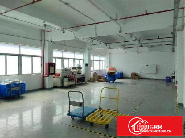 石排太和独院楼上全新厂房1000平米原房东出租