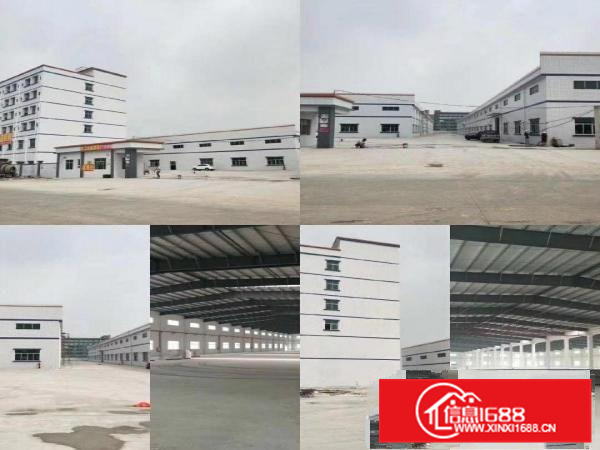 园洲钢构厂房红本砖墙到顶重工业厂房出租原房东牛角