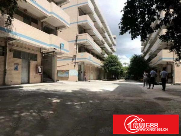 平湖富民工业区独院厂房共38000平原房东直租