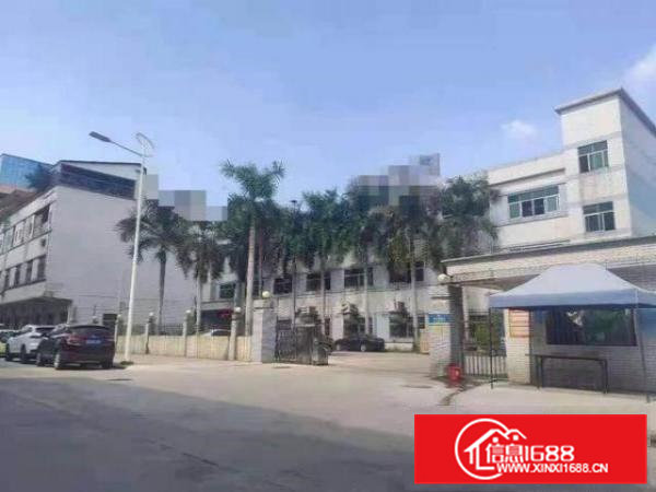 桥头业主独门独院厂房出租