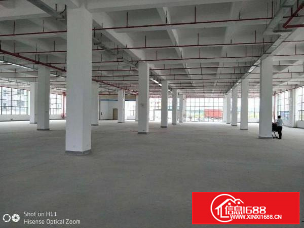 惠阳三和经济开发区新出红本独院厂房26000平出租