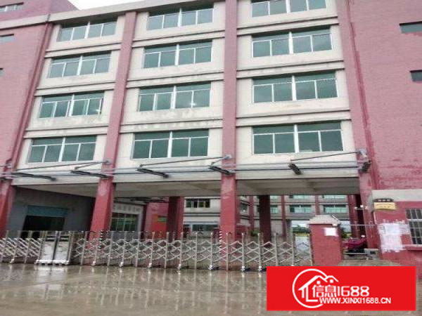 惠阳新圩新出标准3层楼房2200平方出租