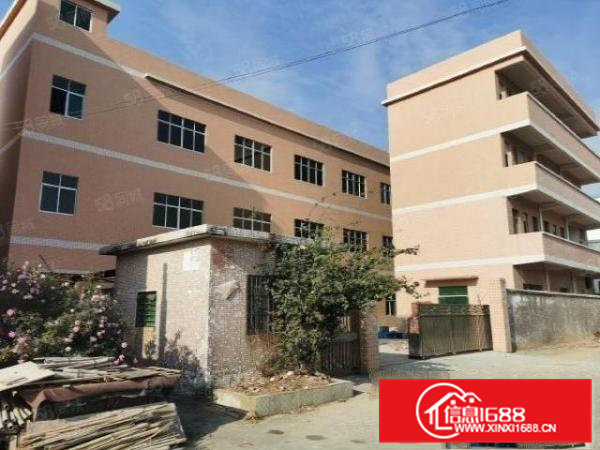 企石镇原房东小独院1800平米出租实际面积没公摊