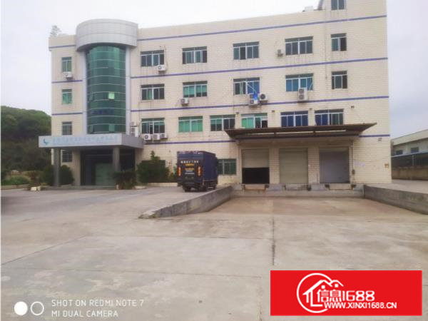 大岭山新出园区厂房1780平方自带卸货平台