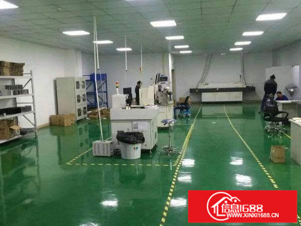 坪山金碧路边一楼780平厂房招租，带装修办公室