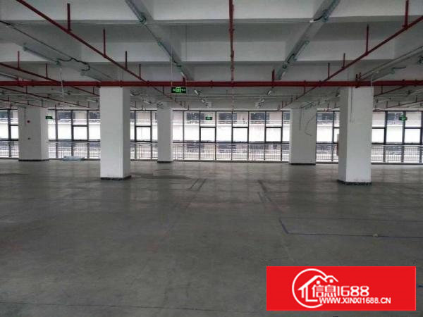 大坪高速新出原房东厂房招租2860平，14元