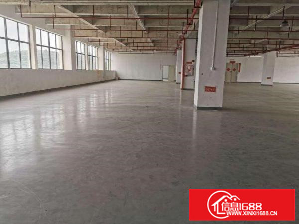 低价九成新标准厂房800平方—5000平方