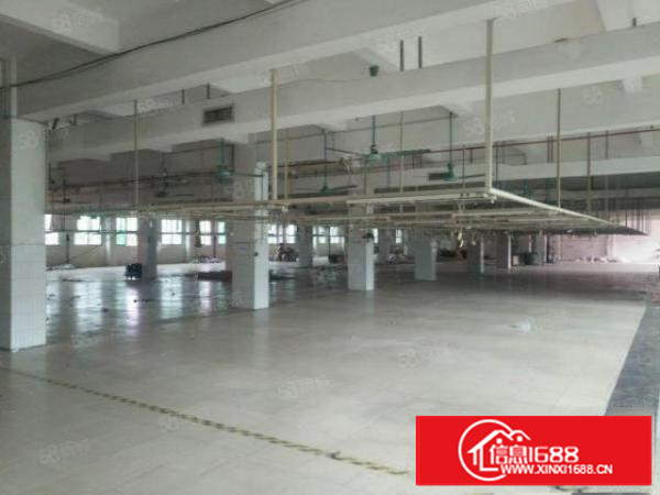 茶山镇独门独院厂房三层3000平方招租