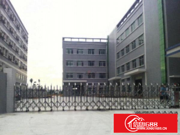 高埗标准一楼厂房500-5000平米低价招租