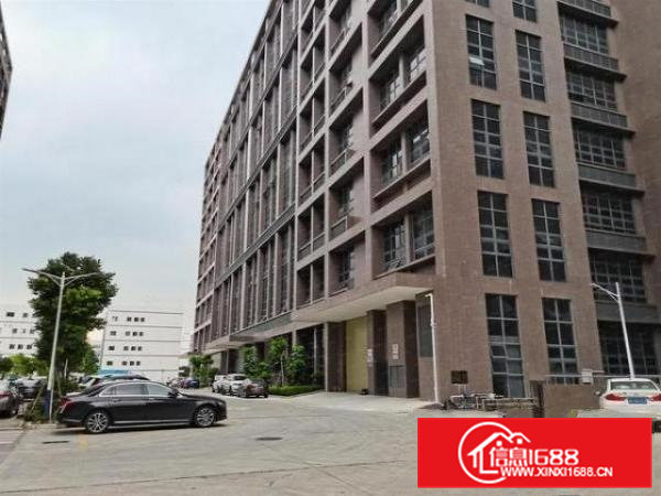 大岭山太公岭村新出970平厂房出租，空地大带红本