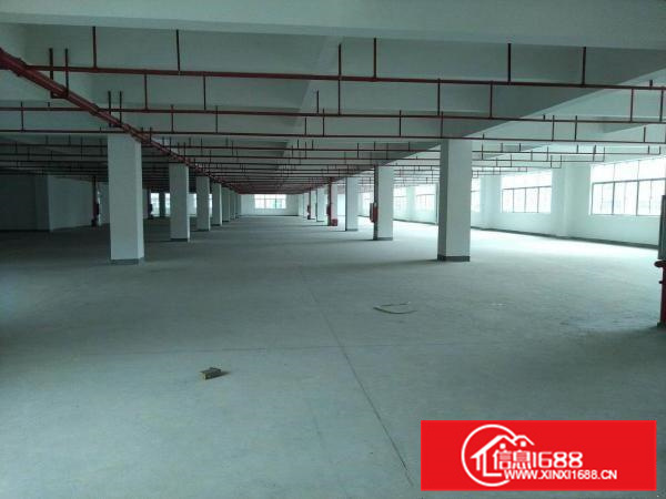 惠阳三和经济开发区全新标准独栋厂房42800平出租可办环评