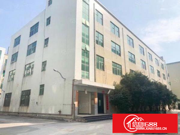 新出来独门独院整栋厂房