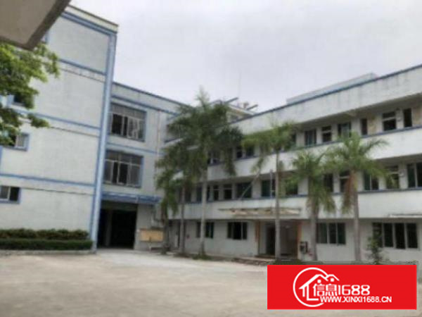 万江周边1出租5001500、2500平方出租交通方