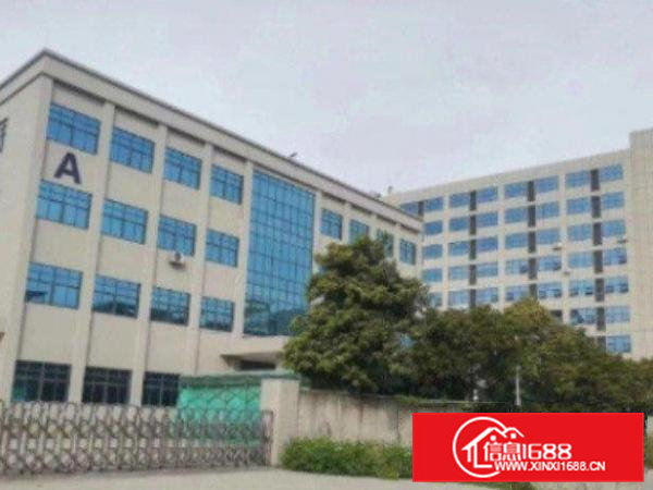 高埗靓盘出租2楼厂房面积2500平