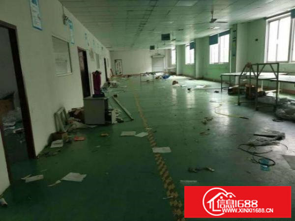 观澜天虹附近大型工业园小面积可分租小加工电商仓库必选