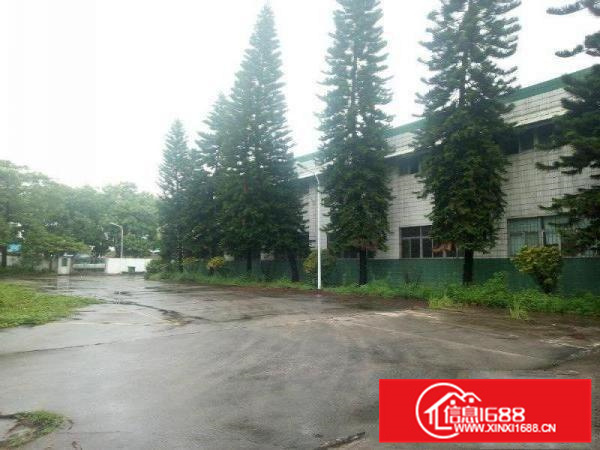 新圩高速出口钢构7000平，高8米出租