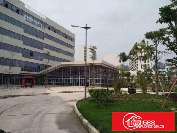 虎门滨海湾新区2500花园式厂房特价招租可办环评天然气己接入