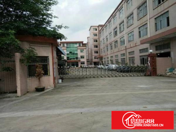 同乐浪背原房东无公摊楼上整层1200平15元出租