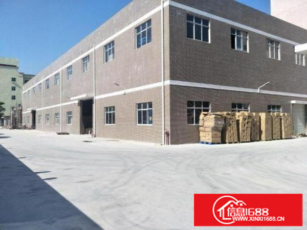 惠阳新圩新出2000平方钢构