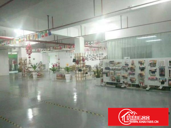 新圩国道边现成装修厂房900平米