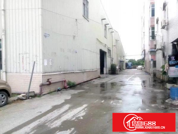 桥头原房东厂房给钱就租.做物流仓库合适