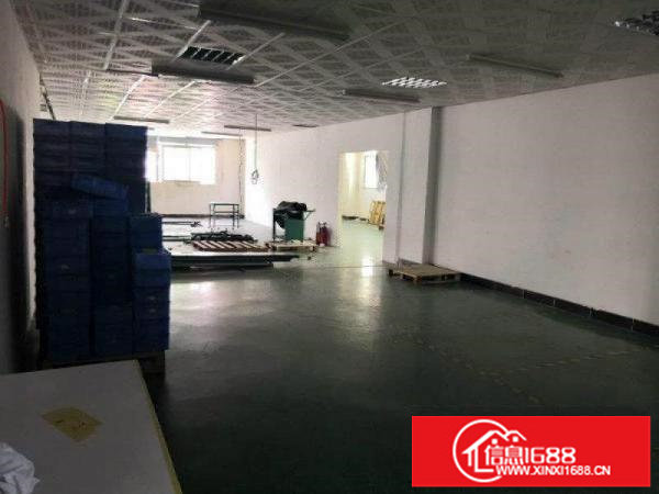 龙岗区新生村一楼980平方标准厂房出租