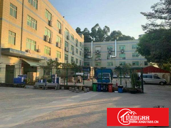 坂田高速口1200平独门独院厂房