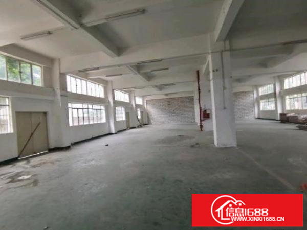 一楼650平国际物流带卸货平台货柜车可随时进出