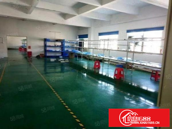 新出楼上精装修厂房出租一整层面积3500平方，带办公室有宿舍