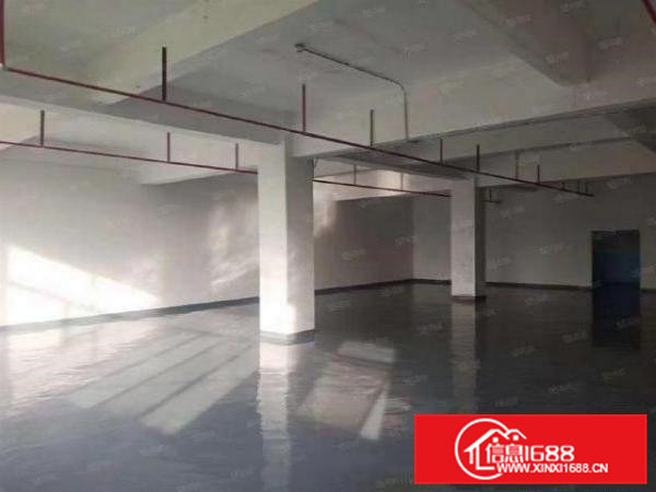 企石旧围村楼上1100平方厂房出租带装修、消防