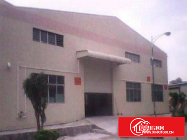 万江周边独门独院单一层铁皮1000平方出租有空地宿舍300平