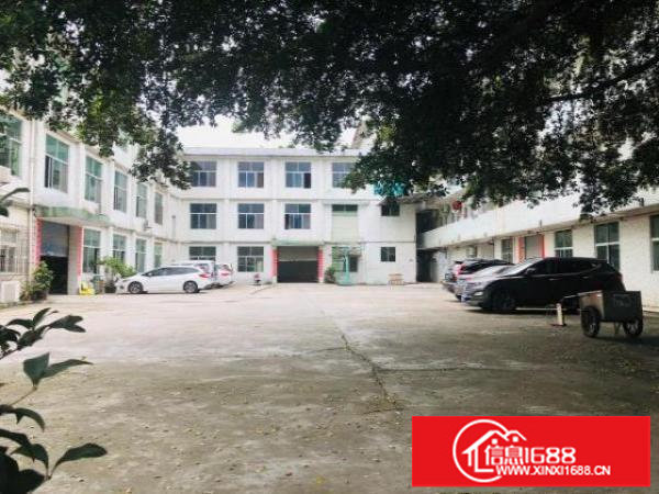 深坑工业区一楼450平实量面积标准厂房出租