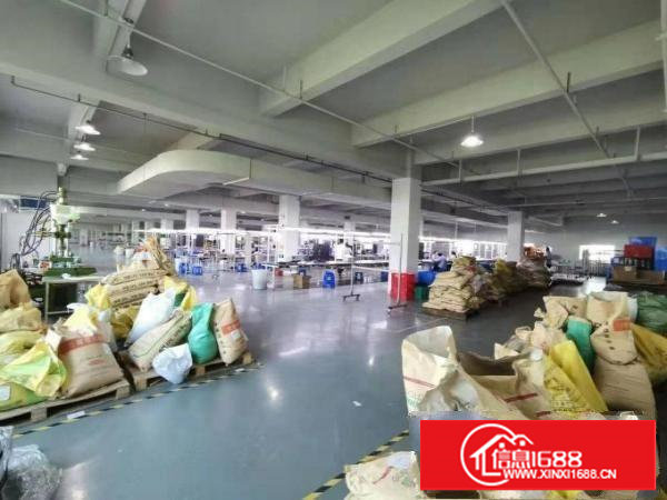 实拍图！！独栋标准厂房300平方米起租，优势：一楼，楼上分租