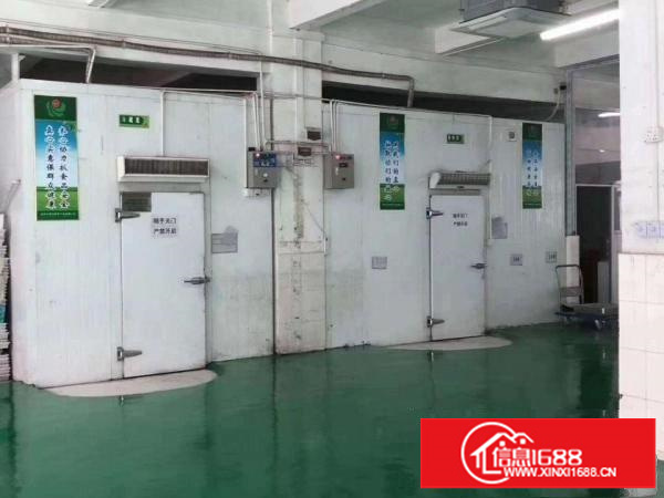 平湖白泥坑紧靠海吉星460平方带150平方冷库，办公室出租