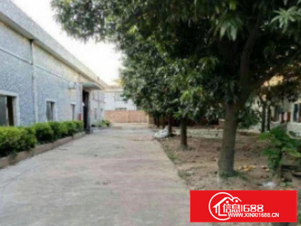 高埗独院单一层厂房出租1700平方