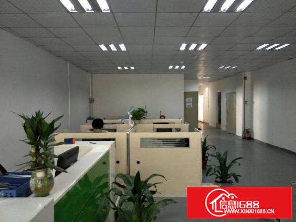 凤岗金凤凰全新厂房出租，1800平方，豪华装修！