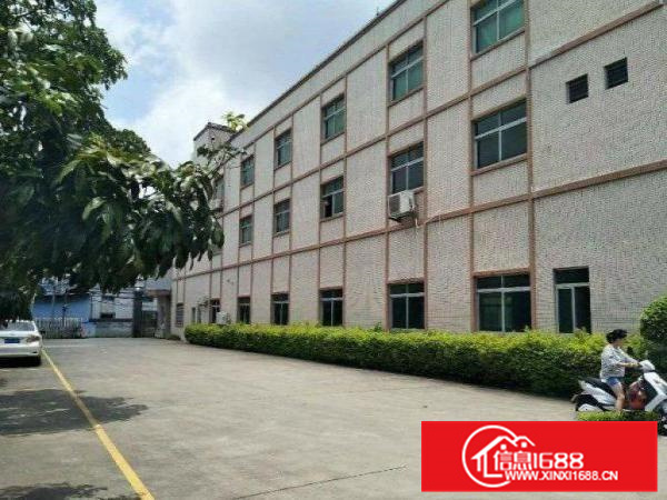 惠阳新墟原房东一楼300平，二楼600平，三楼330平可分租