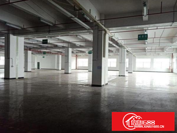 镇口标准厂房一楼900平米出租办公室装修空地大