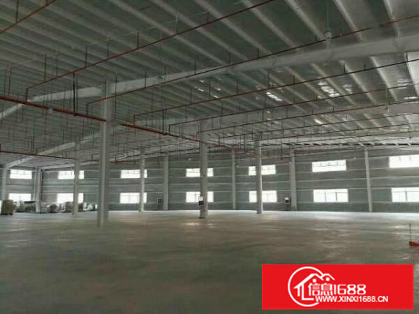 独院钢构7米高公摊非常小17元坪山深汕路